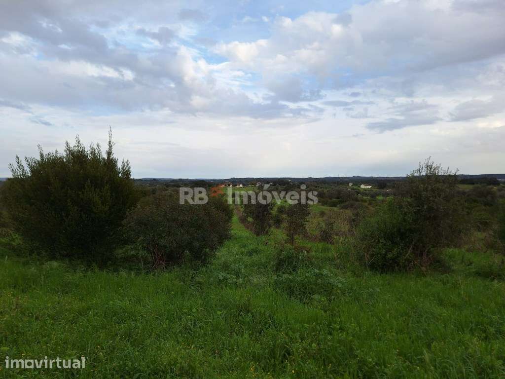 Terreno rústico com 21640m2 - Lamarosa, Torres Novas - Grande imagem: 3/12