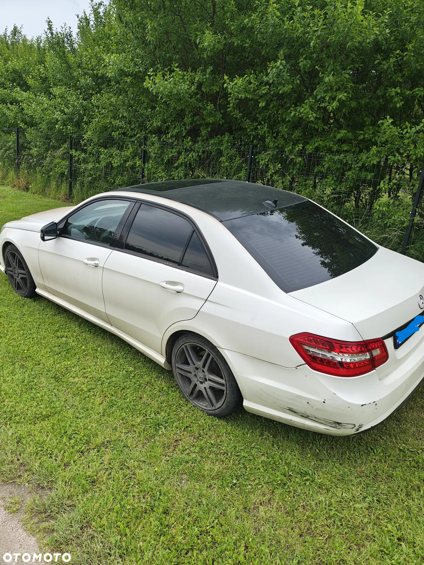 Mercedes-Benz Klasa E 350 4-Matic BlueEff Avantgarde - 2