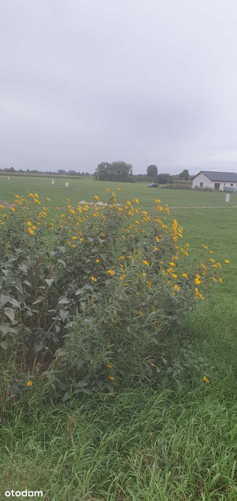 Działka, 1 000 m², Ługi Ujskie - Pełny obrazek: 3/8