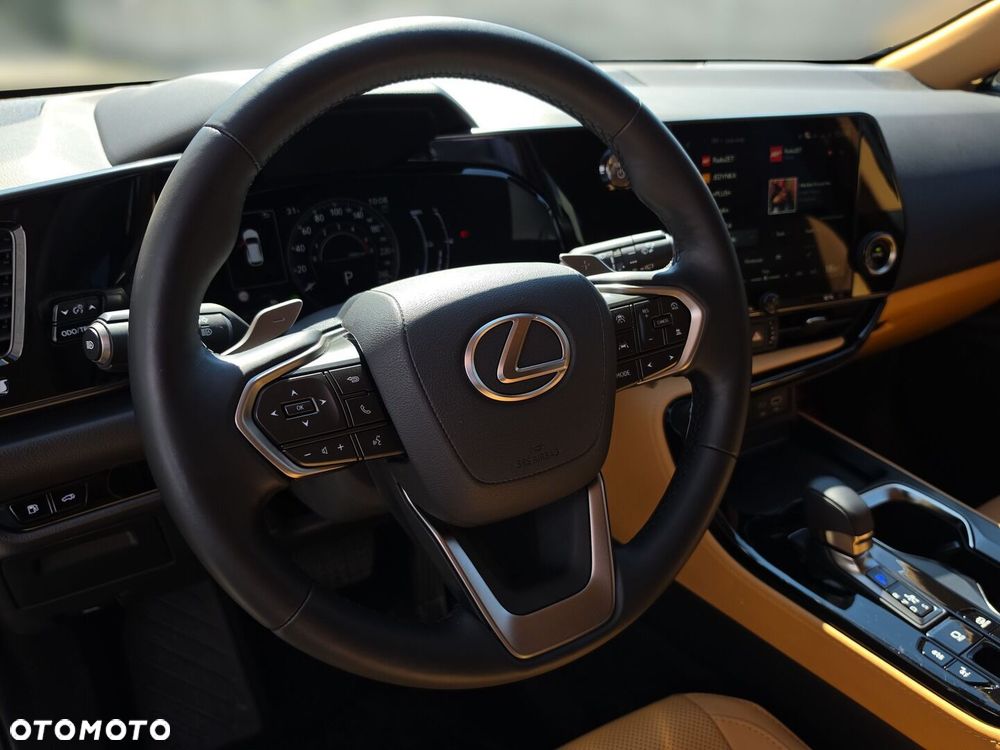 Lexus NX - 17