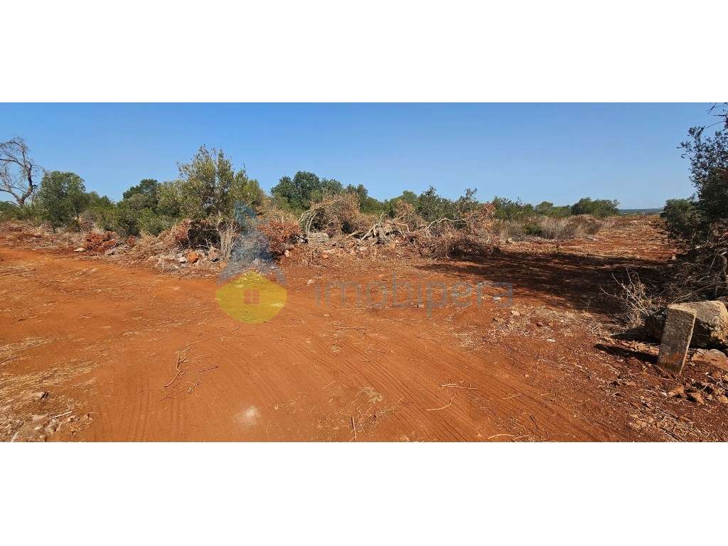 Terreno fértil em zona rural, para agricultura, projeto florestal, ... - Grande imagem: 2/6