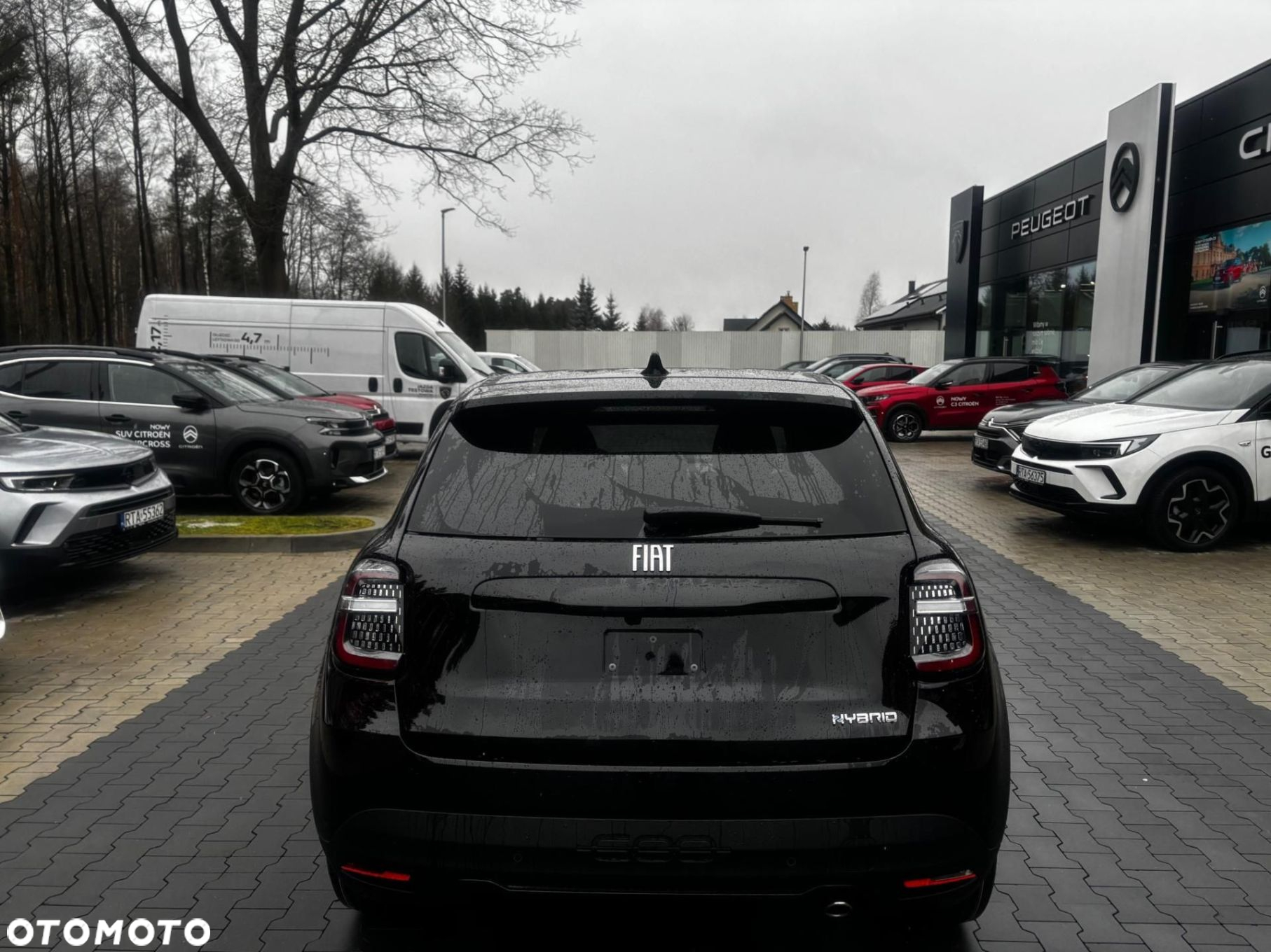 Fiat 600 1.2 Turbo Hybrid La Prima eDCT - 6