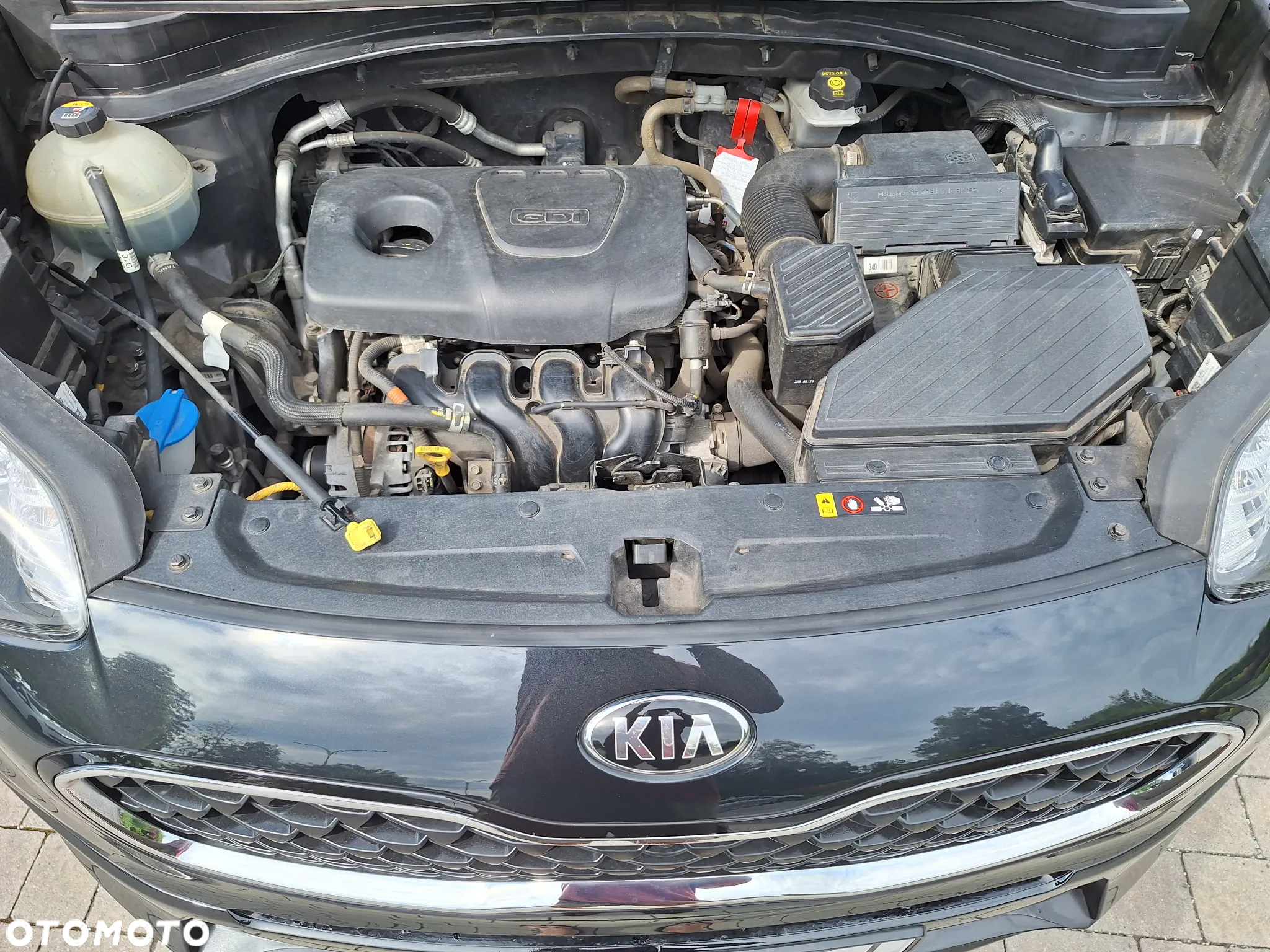 Kia Sportage 1.6 GDI L Business Line 2WD - 16