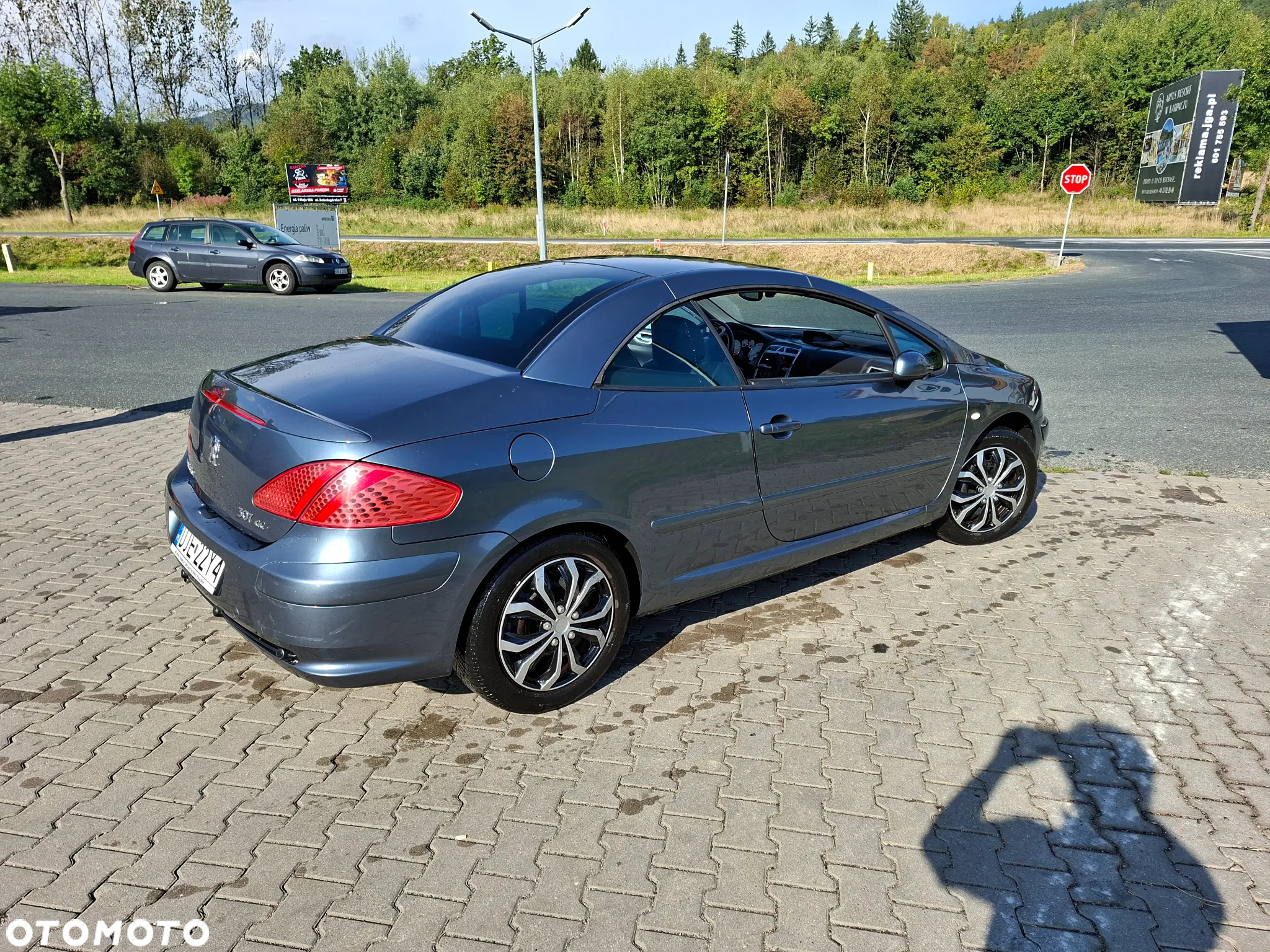 Peugeot 307 CC 2.0 - 7