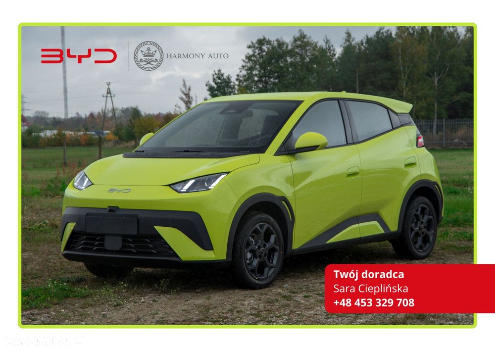 BYD Dolphin Surf - 1