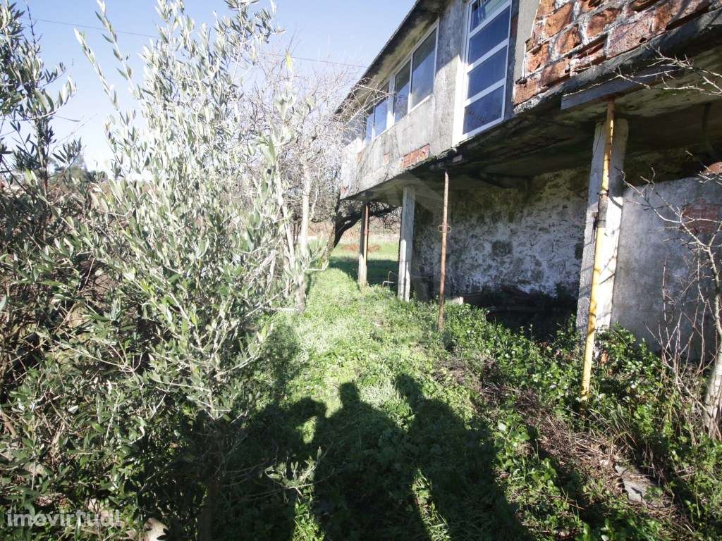 Moradia T3 em Junqueira, Vale de Cambra - Para Recuperar - Grande imagem: 3/9