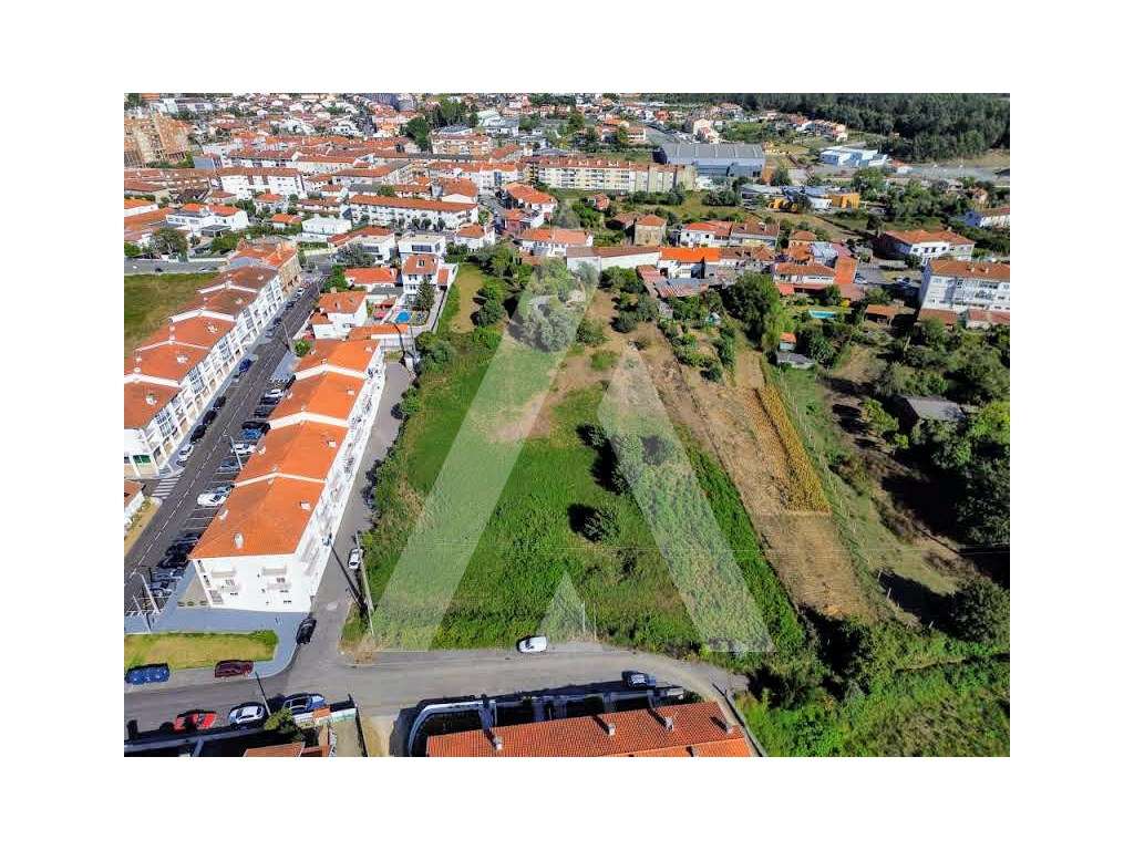 Terreno para construção em Albergaria-a-Velha - Grande imagem: 4/14