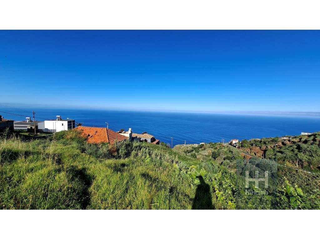 Tereno Urbanizável , amplo e plano, com palheiro, fantastica vista ... - Grande imagem: 3/11