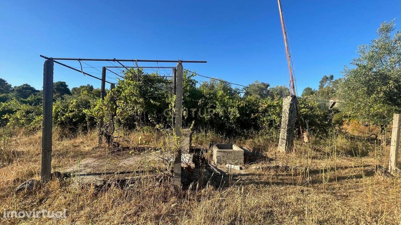 Terreno rústico em Aldeia do Bispo, Penamacor - Grande imagem: 3/12