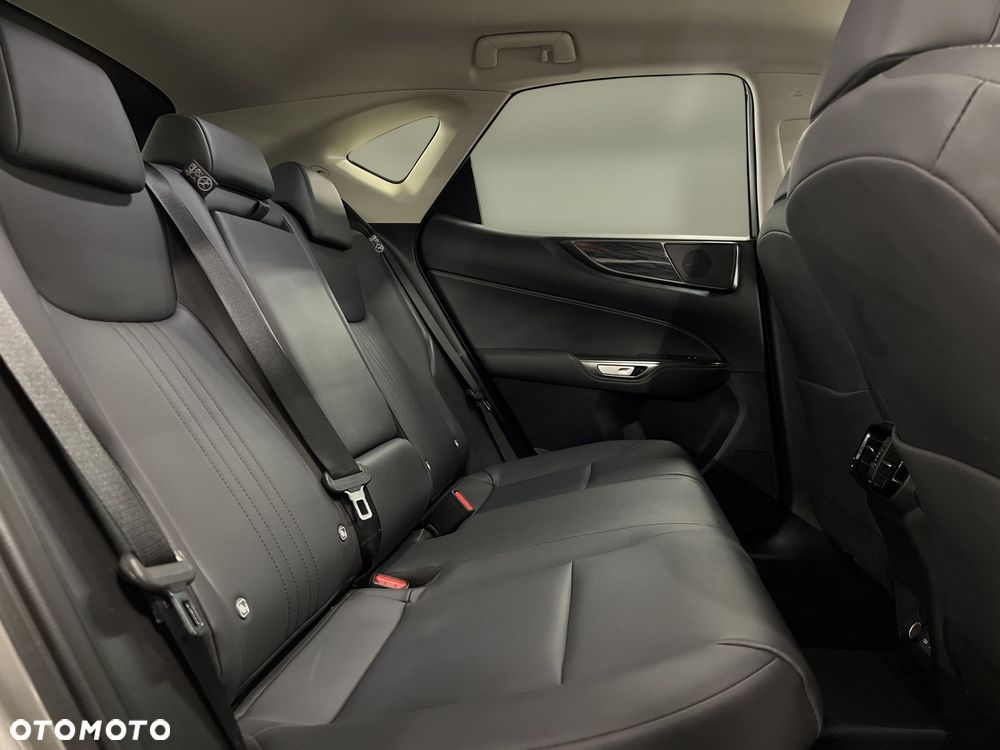 Lexus NX - 13