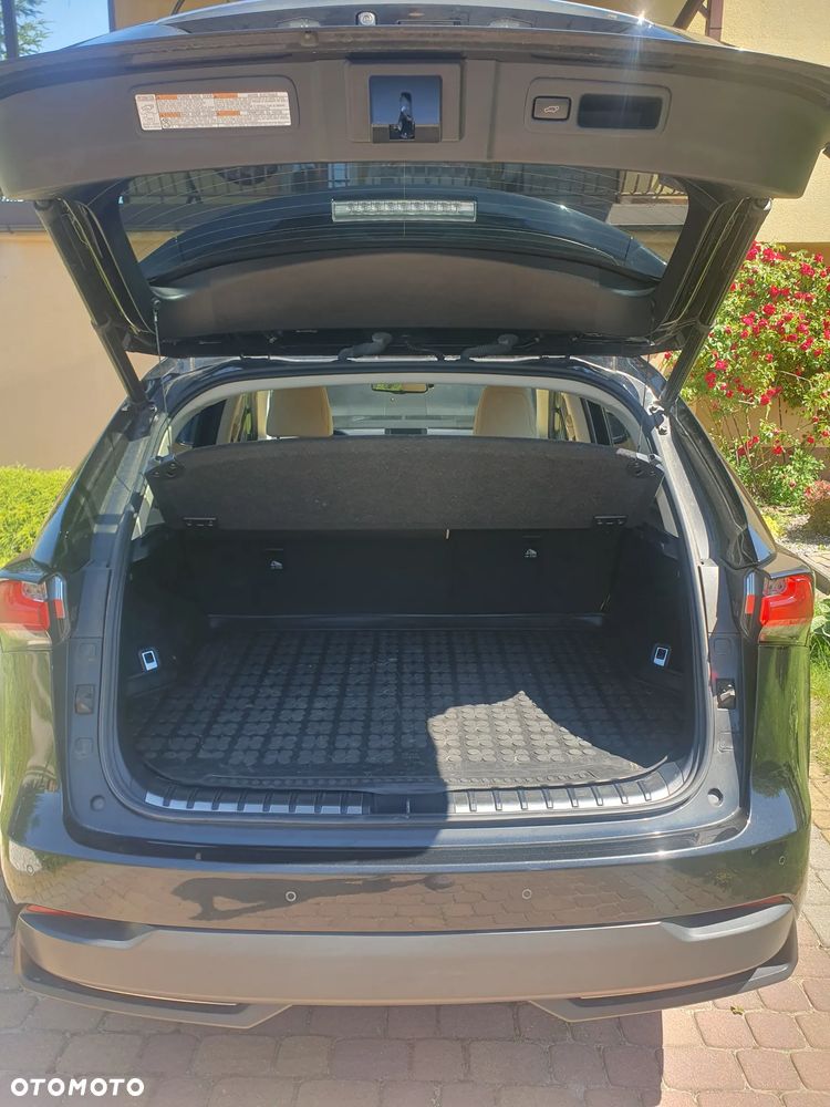 Lexus NX 300h Elegance AWD - 14