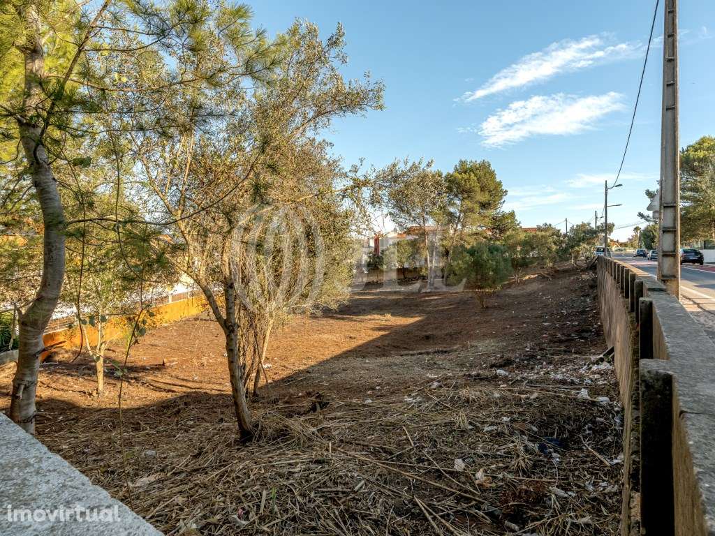 Terreno com PIP aprovado, em Birre, Cascais - Grande imagem: 3/27