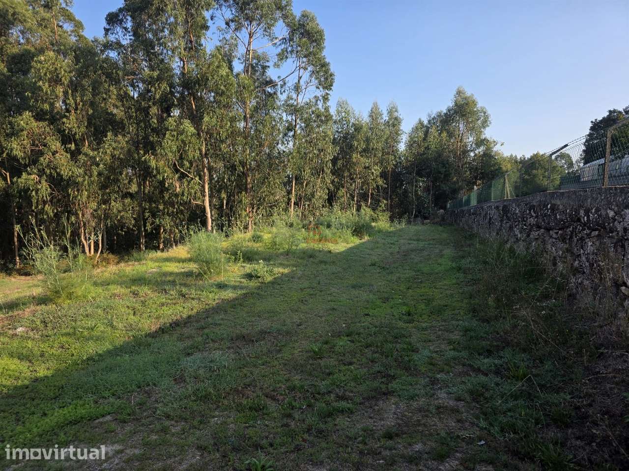 Terreno para Construção com 2.003M2 com PIP APROVADO em Roriz, Santo T - Grande imagem: 2/10