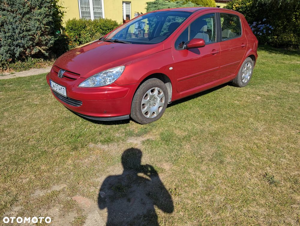 Peugeot 307 1.6 - 4