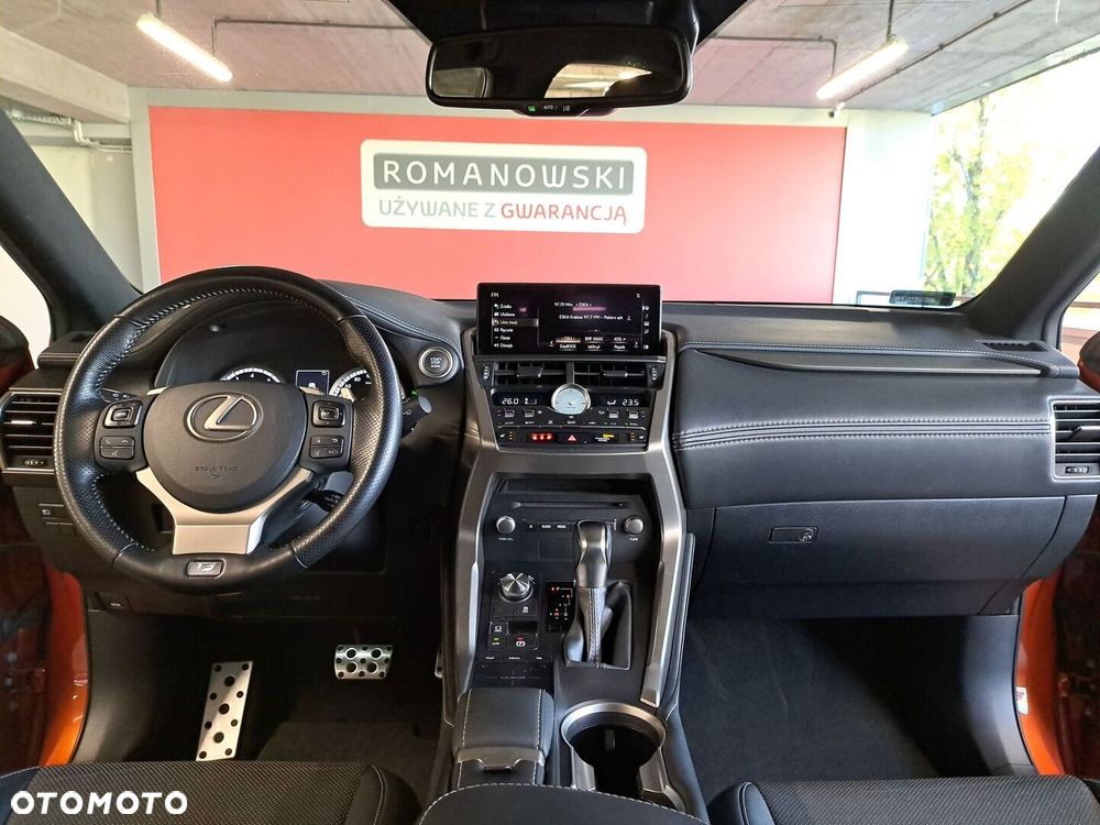 Lexus NX 300 GPF F Sport Edition AWD - 19