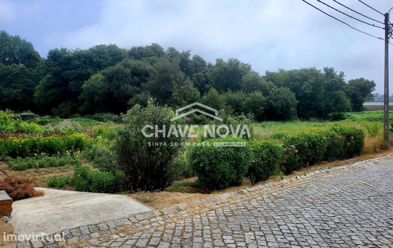 Terreno em Perosinho - Grande imagem: 3/4