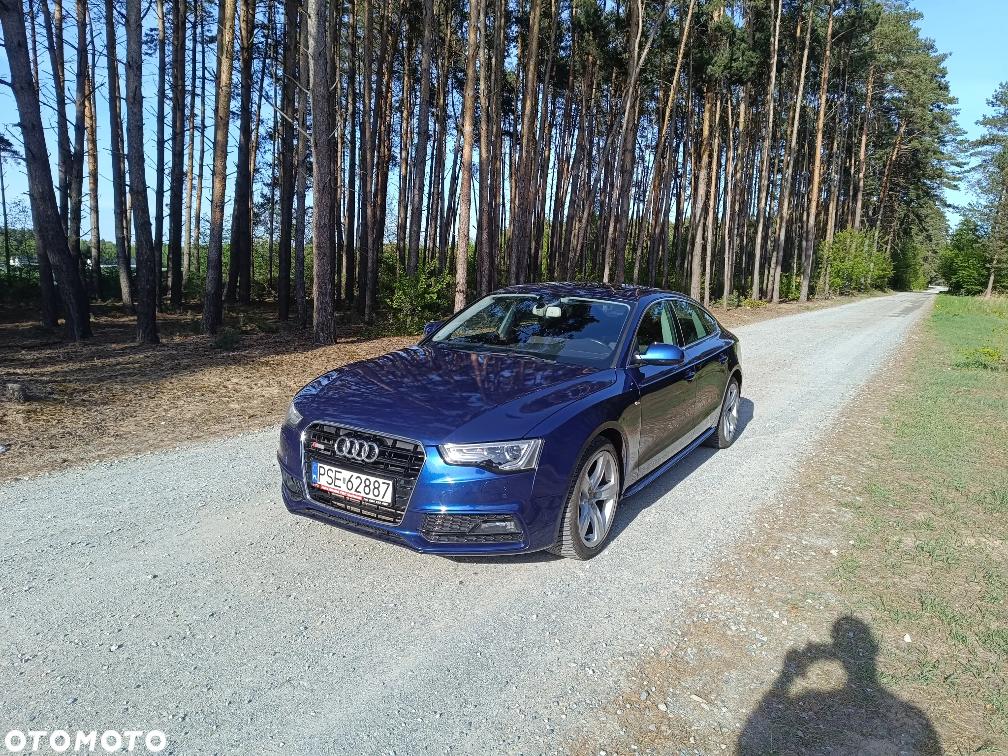 Audi A5 2.0 TDI Sportback DPF - 2
