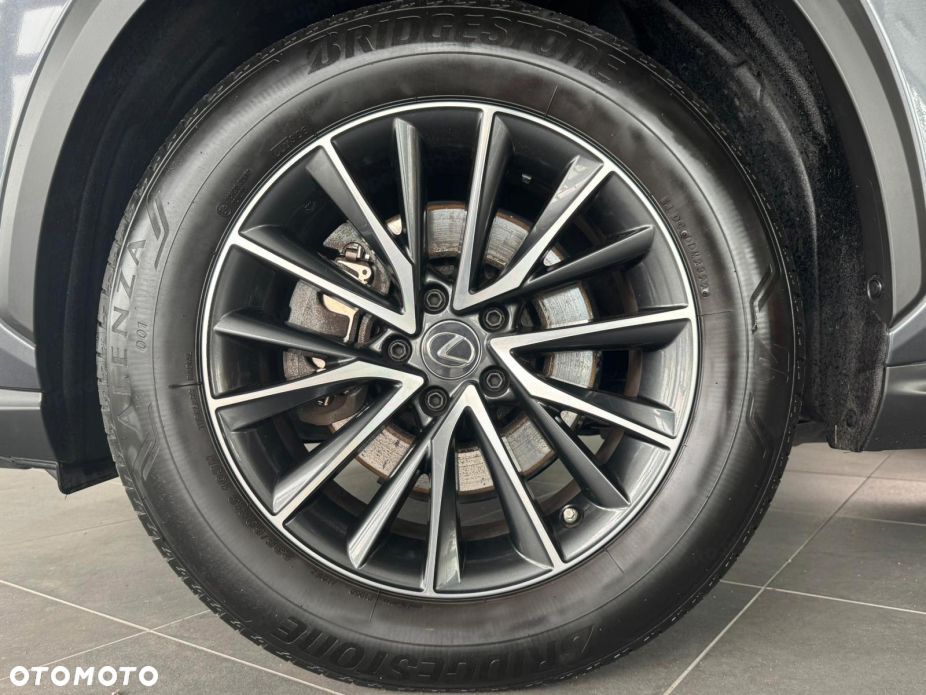 Lexus NX - 16