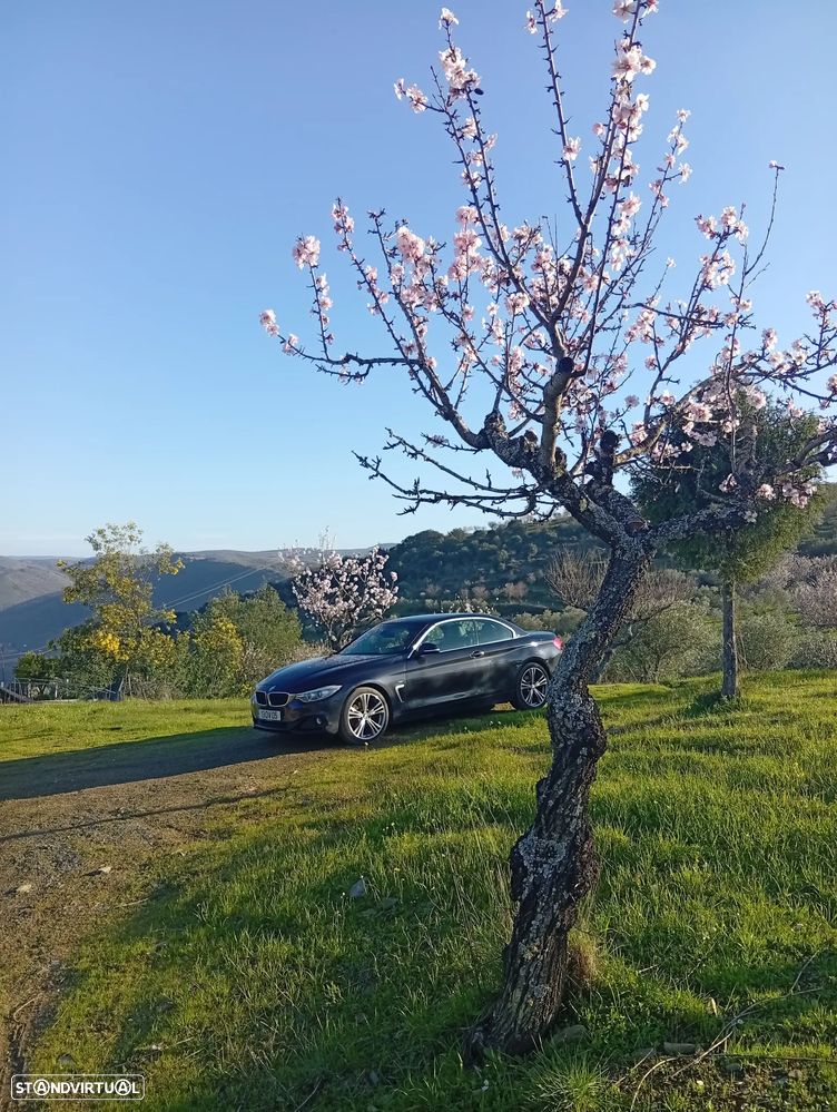 BMW 420 d Line Sport Auto - 12