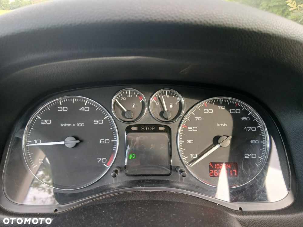 Peugeot 307 1.6 D-sign - 13