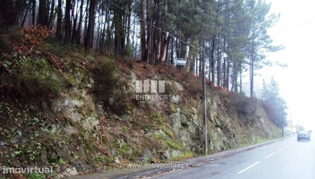 Venda Terreno, Real, Amarante - Grande imagem: 5/6