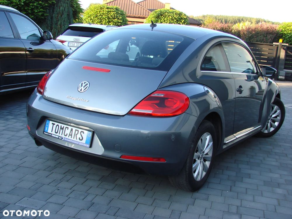 Volkswagen Beetle - 13