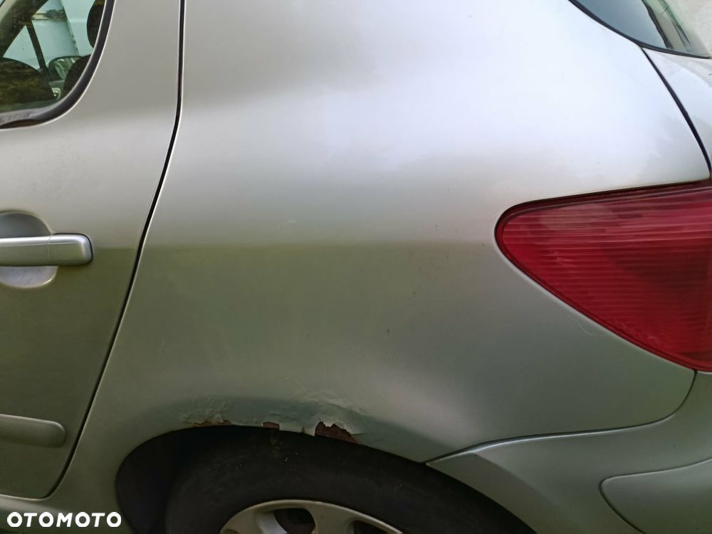 Peugeot 307 1.6 HDi - 9