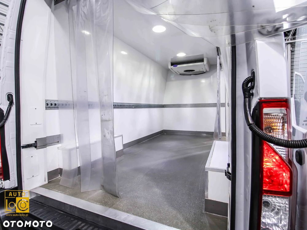 Renault MASTER CHŁODNIA + IZOTERMA - 12