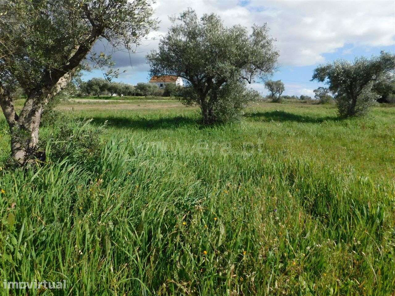 Quintinha / Fundão, Quintas da Torre - Grande imagem: 4/7