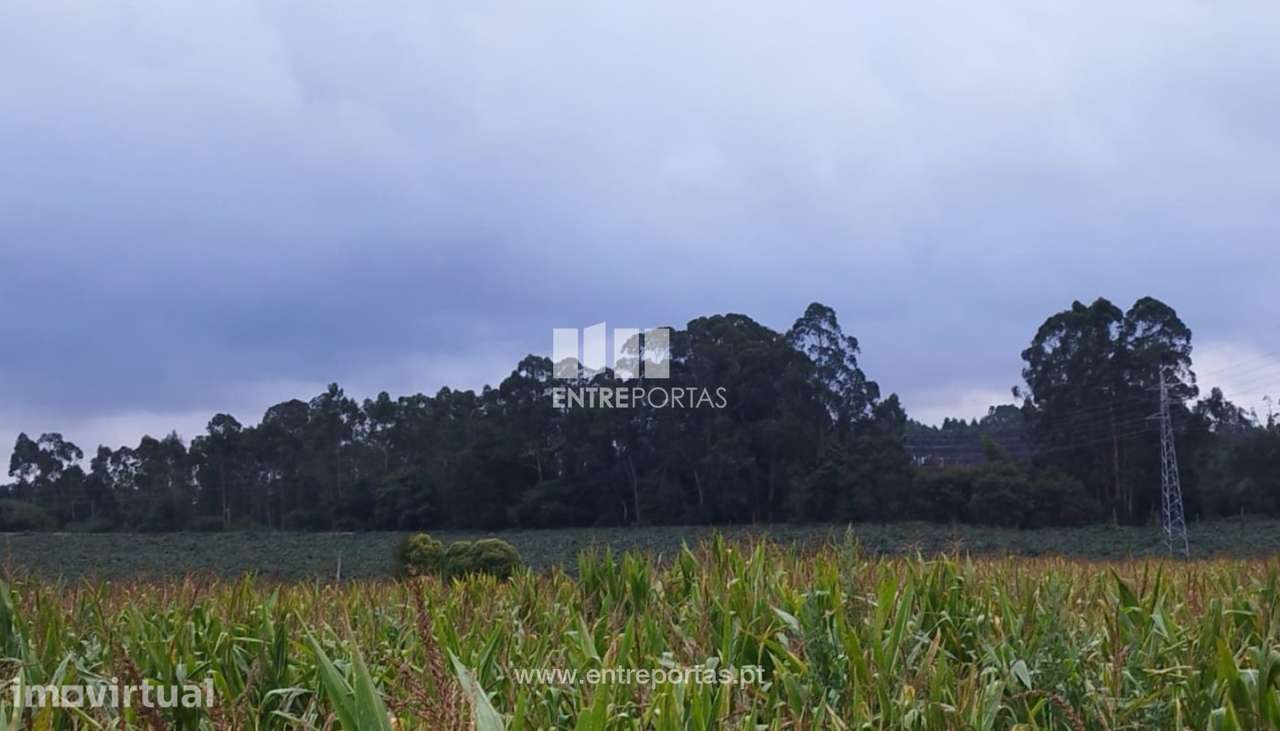 Venda de Terreno industrial com 14 490 m2, Guilhabreu, Vila do Conde - Grande imagem: 4/11