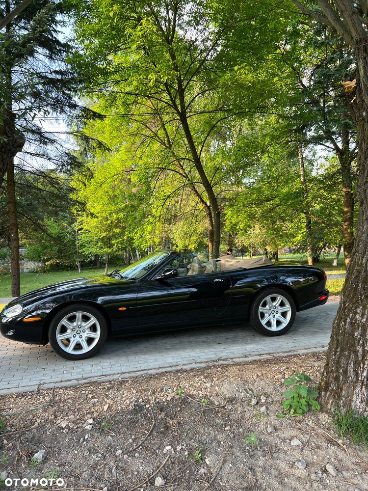 Jaguar XK - 8