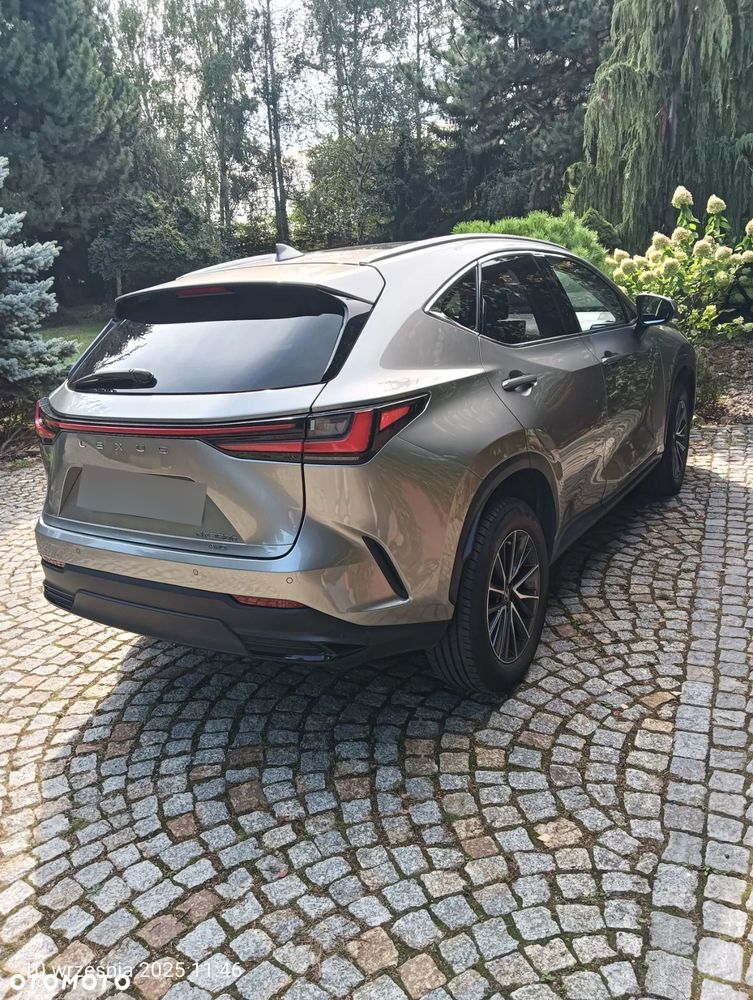 Lexus NX 350h Prestige AWD - 37