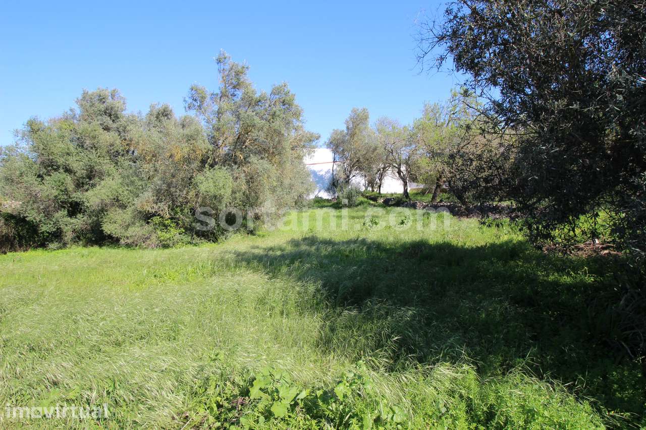Terreno Para Construção  Venda em Loulé (São Sebastião),Loulé - Grande imagem: 2/10