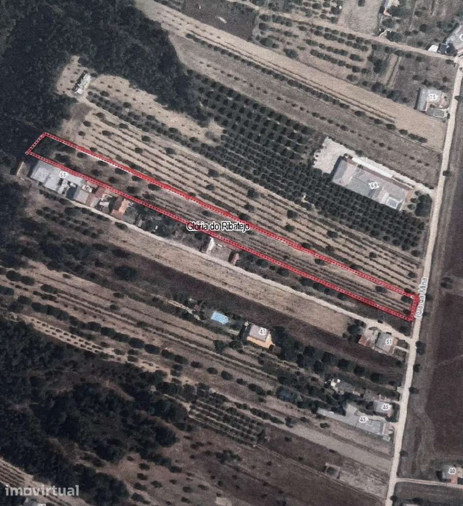 Terreno 5320 m2 – Glória do Ribatejo – Salvaterra de Magos - Grande imagem: 4/10
