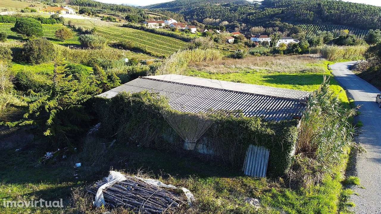 Armazém  para arrendamento - Grande imagem: 5/5