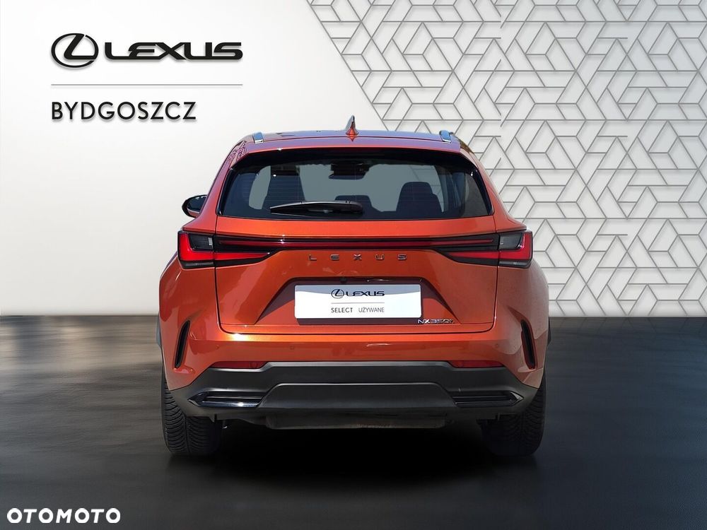 Lexus NX 350h Business AWD - 5