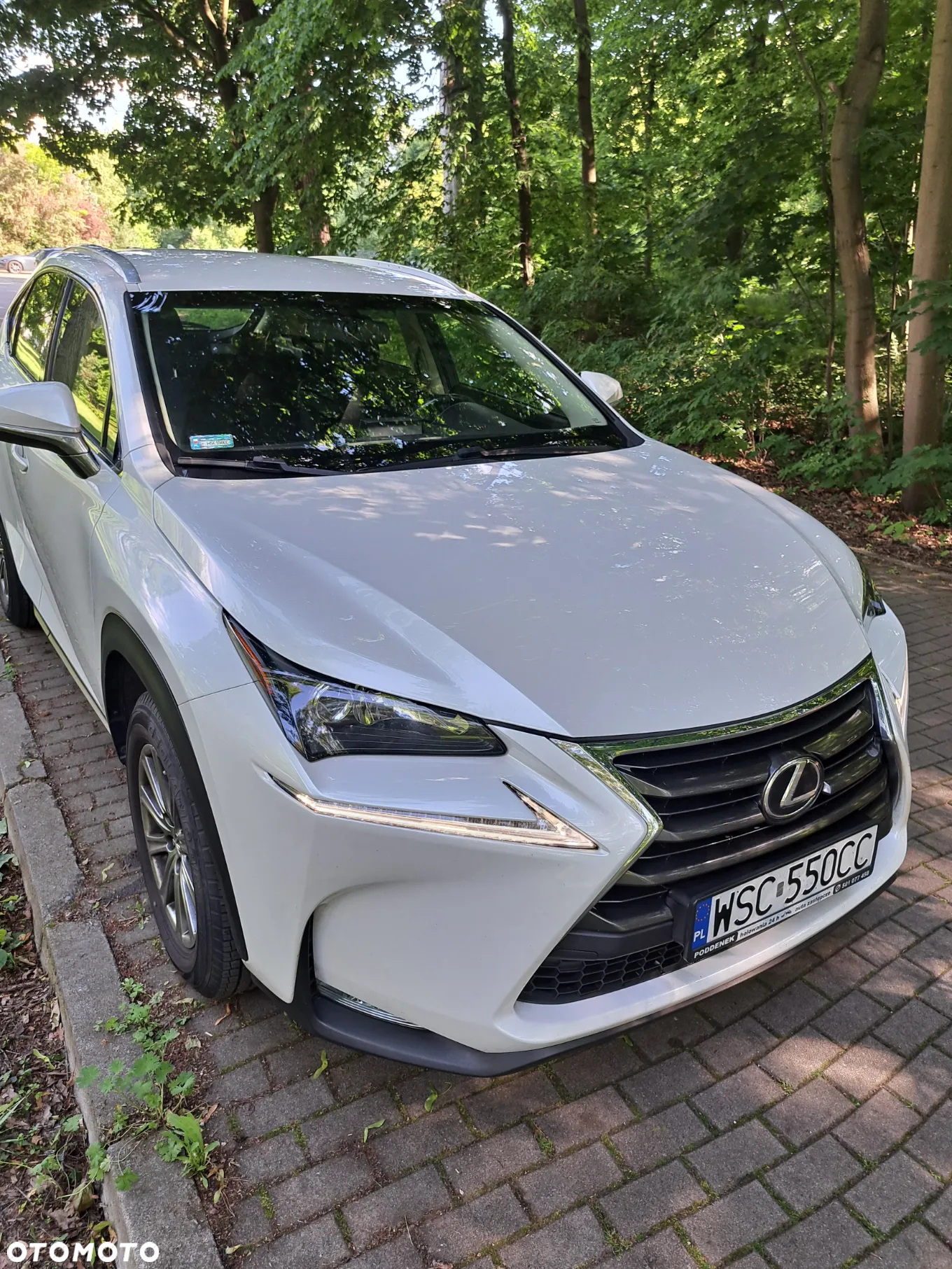 Lexus NX 200t Comfort AWD - 3