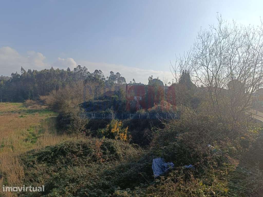 Terreno com moradia para recuperar em Touguinhó - Vila do Conde - Grande imagem: 5/14