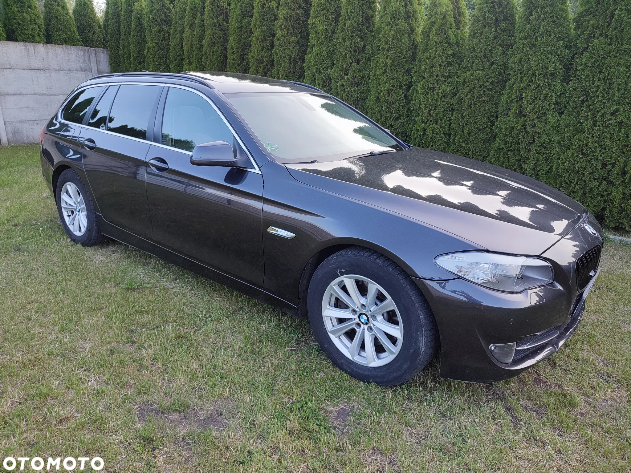 BMW Seria 5 - 3