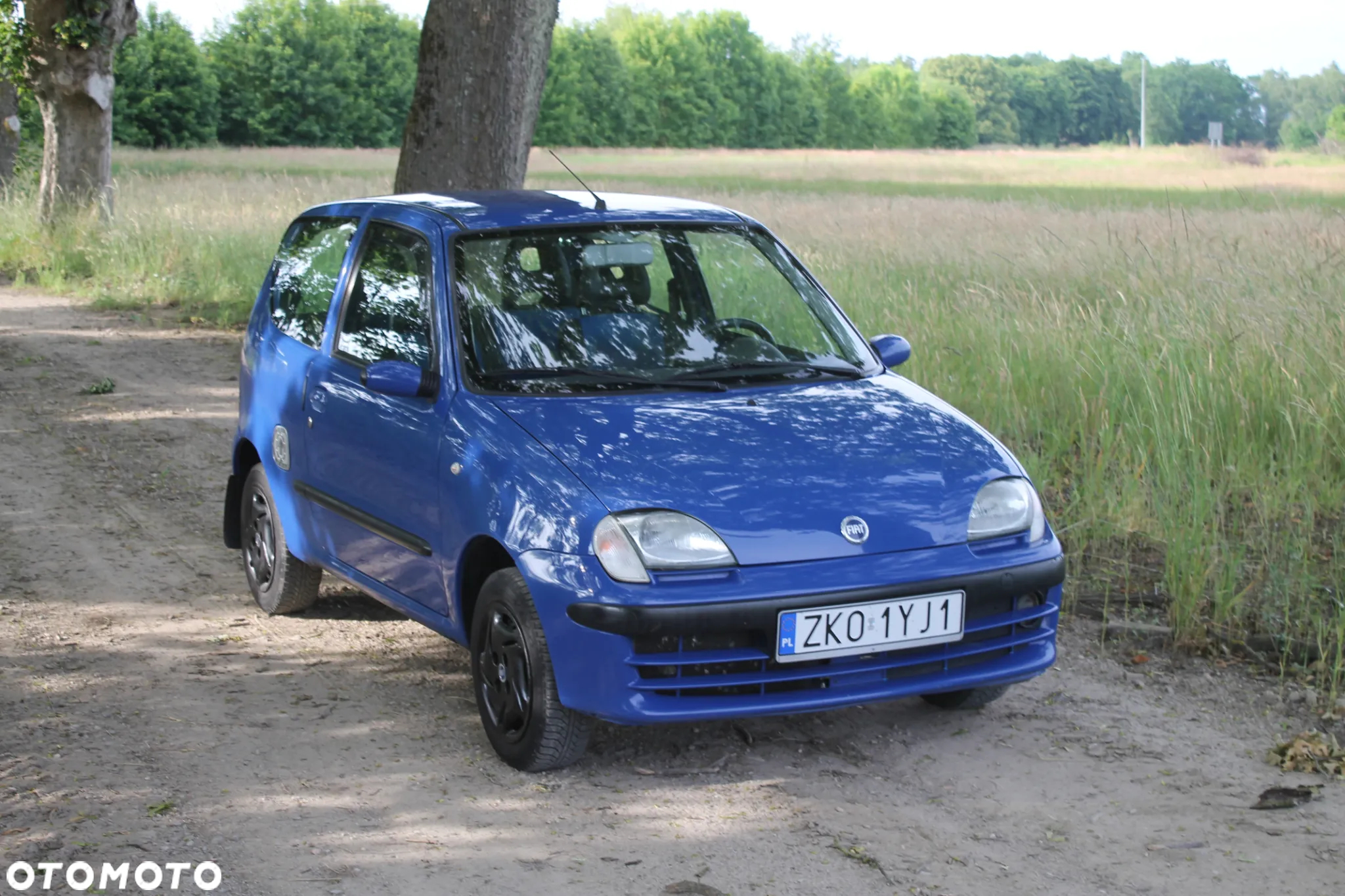 Fiat Seicento - 12