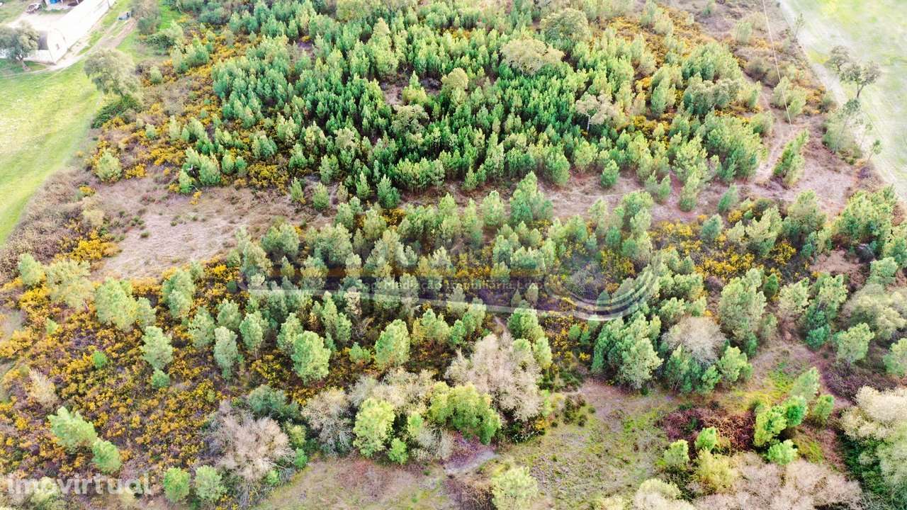 Terreno em Coruche (CRCH166) - Grande imagem: 4/11