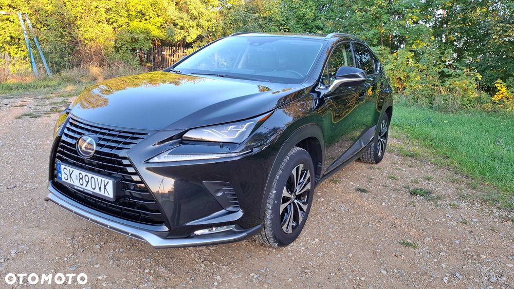 Lexus NX - 2