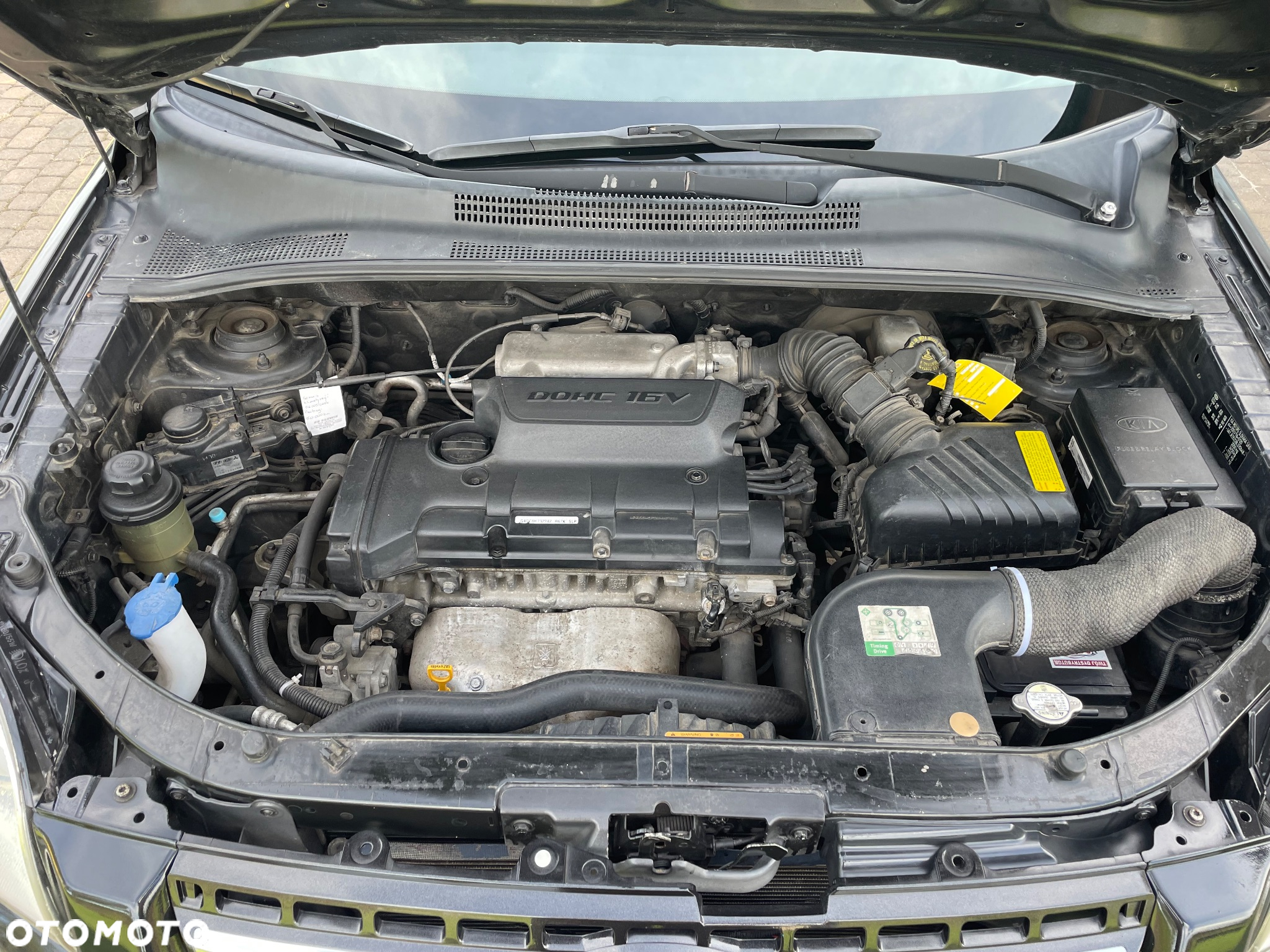 Kia Sportage - 19