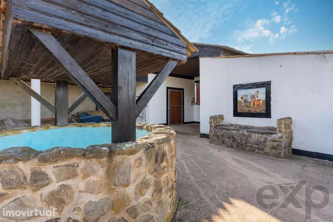 Propriedade privada - Centro Equestre - Grande imagem: 4/22