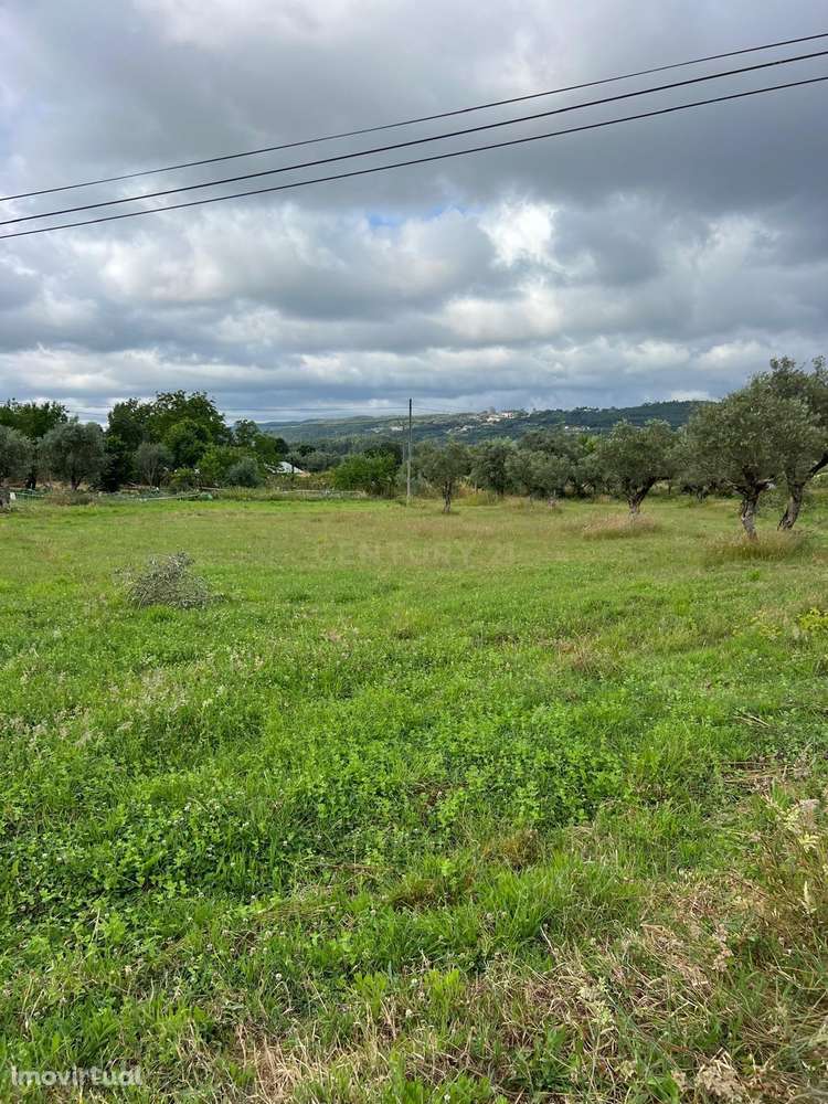 Terreno urbanizável - Ferrarias - Maças D. Maria - Grande imagem: 4/7