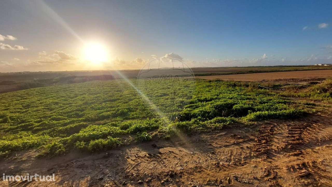 Terreno  para venda - Grande imagem: 3/3