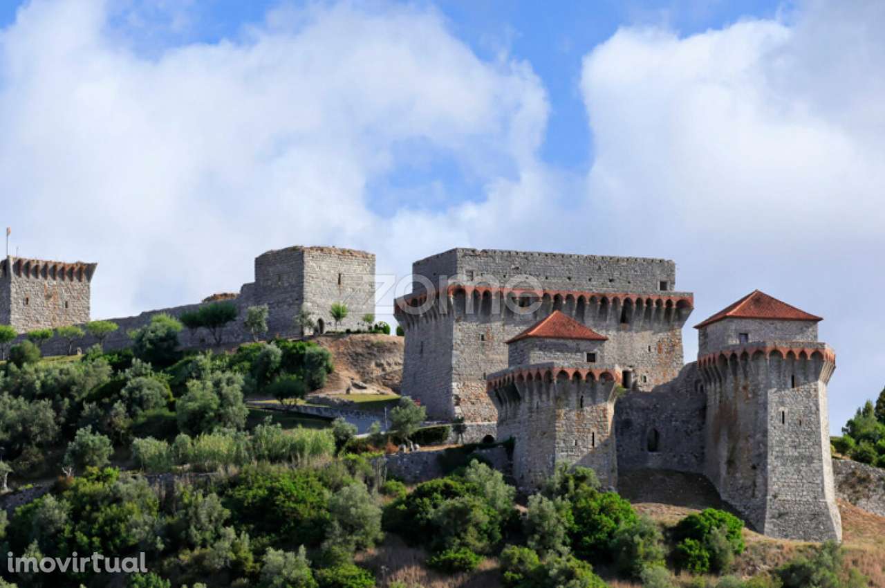 Pinhal - Grande imagem: 5/7