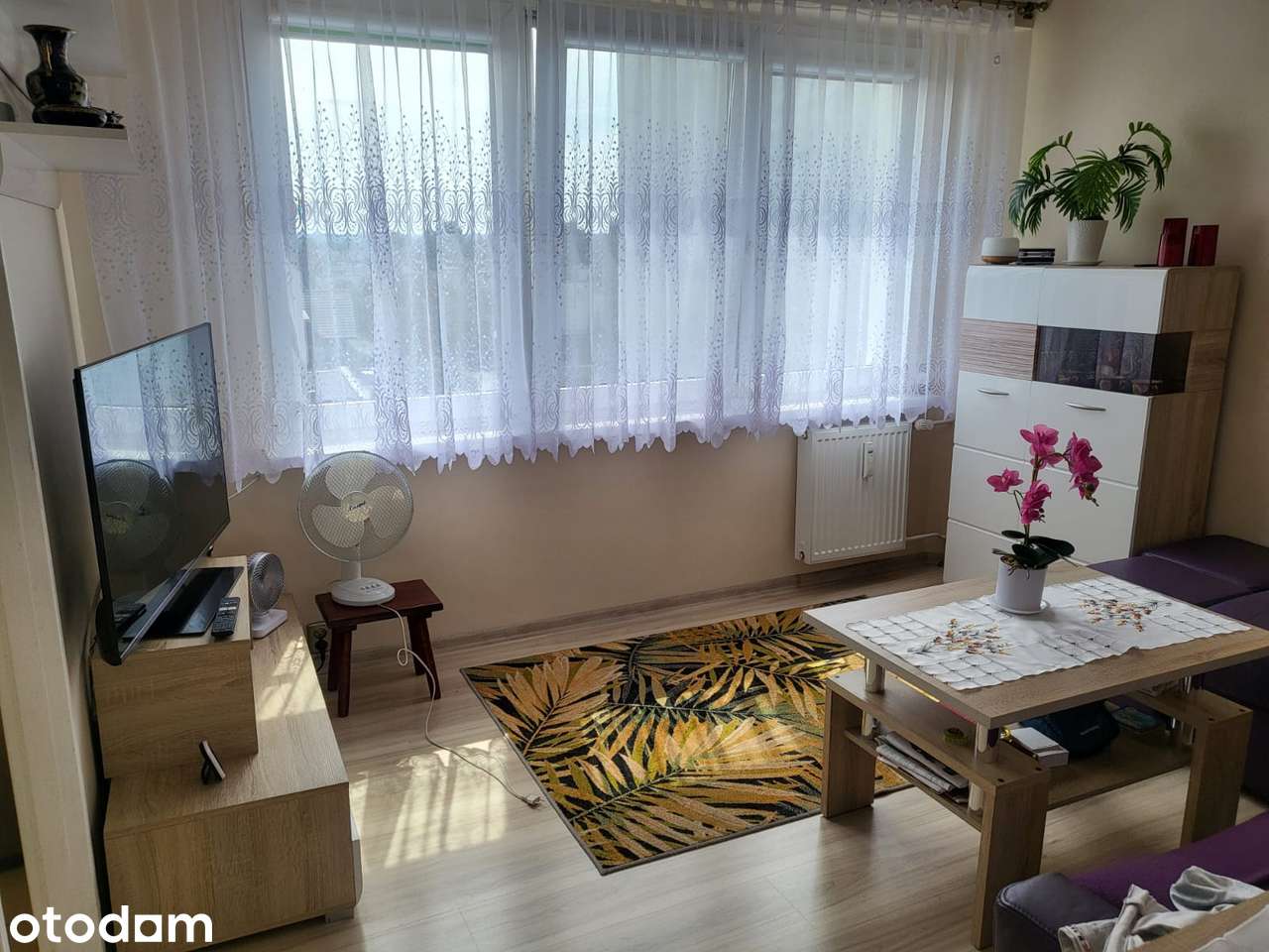 Mieszkanie na sprzedaż, 2 pokoje, 33 m², Świecie