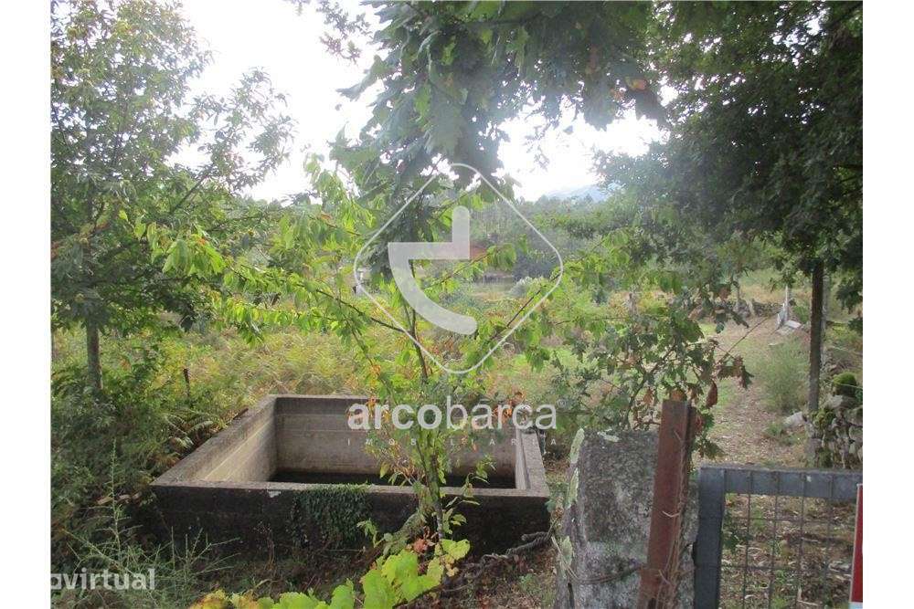 Terreno c/area estruturante e reserva RAN, 3.850m2, Couto,Arcos de Val - Grande imagem: 2/5
