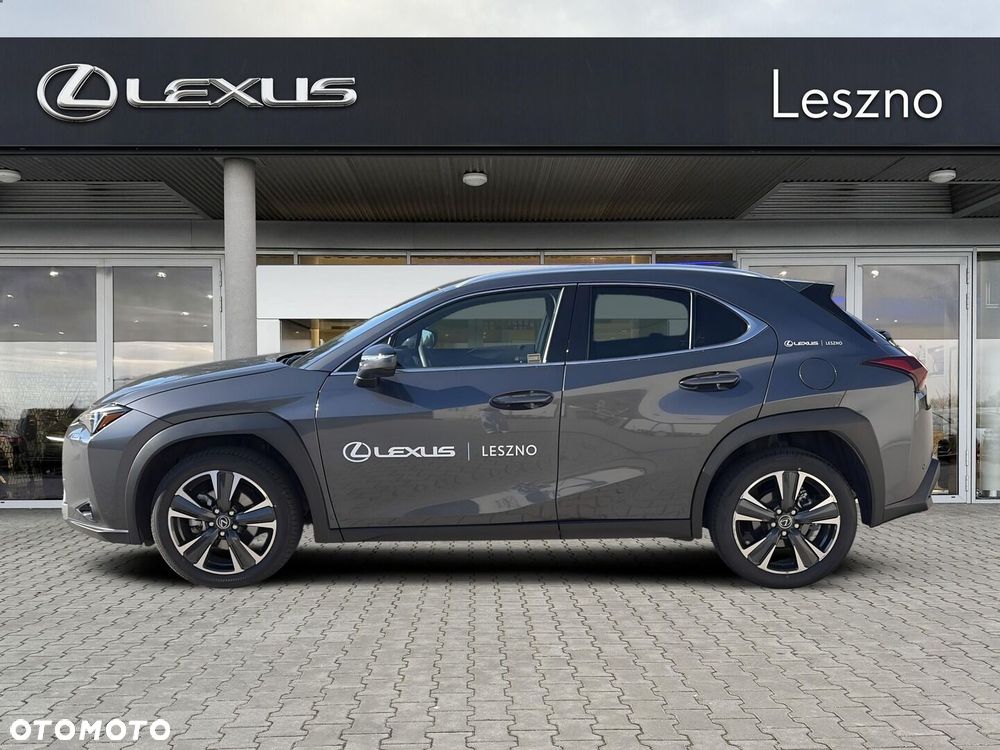 Lexus UX 300h Business - 10
